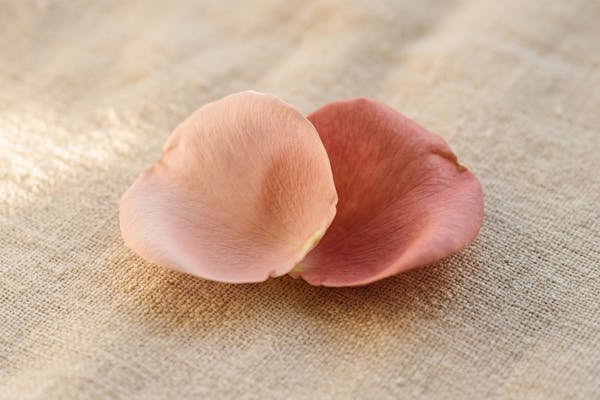 Why Orgasm Shouldn't Be the Goal (And What to Focus on Instead)