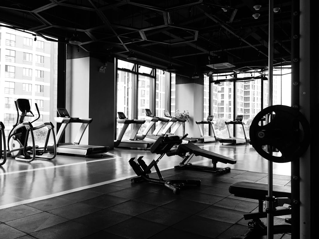 Complete Brand Transformation for Fitness Forward