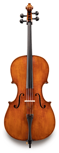 Eastman - Cello - VC830