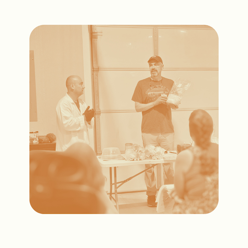 Grow Your Own Gourmet Mushrooms: Join Our Next Hands-On Class