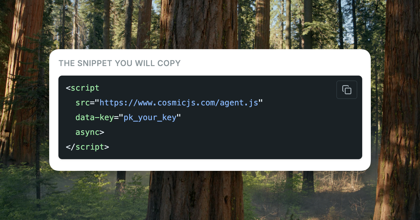 ai-support-agent-code.png