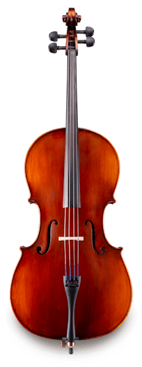 cello strados-fusion-cello_roasted-