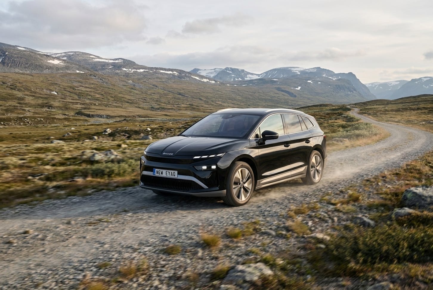 Ein Skoda Enyaq.