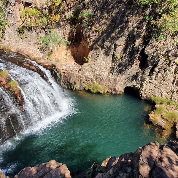 Savanna-Chapada dos Veadeiros- Webinar's main gallery image