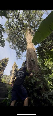 Sounds Nais curates: Escu b2b Emel