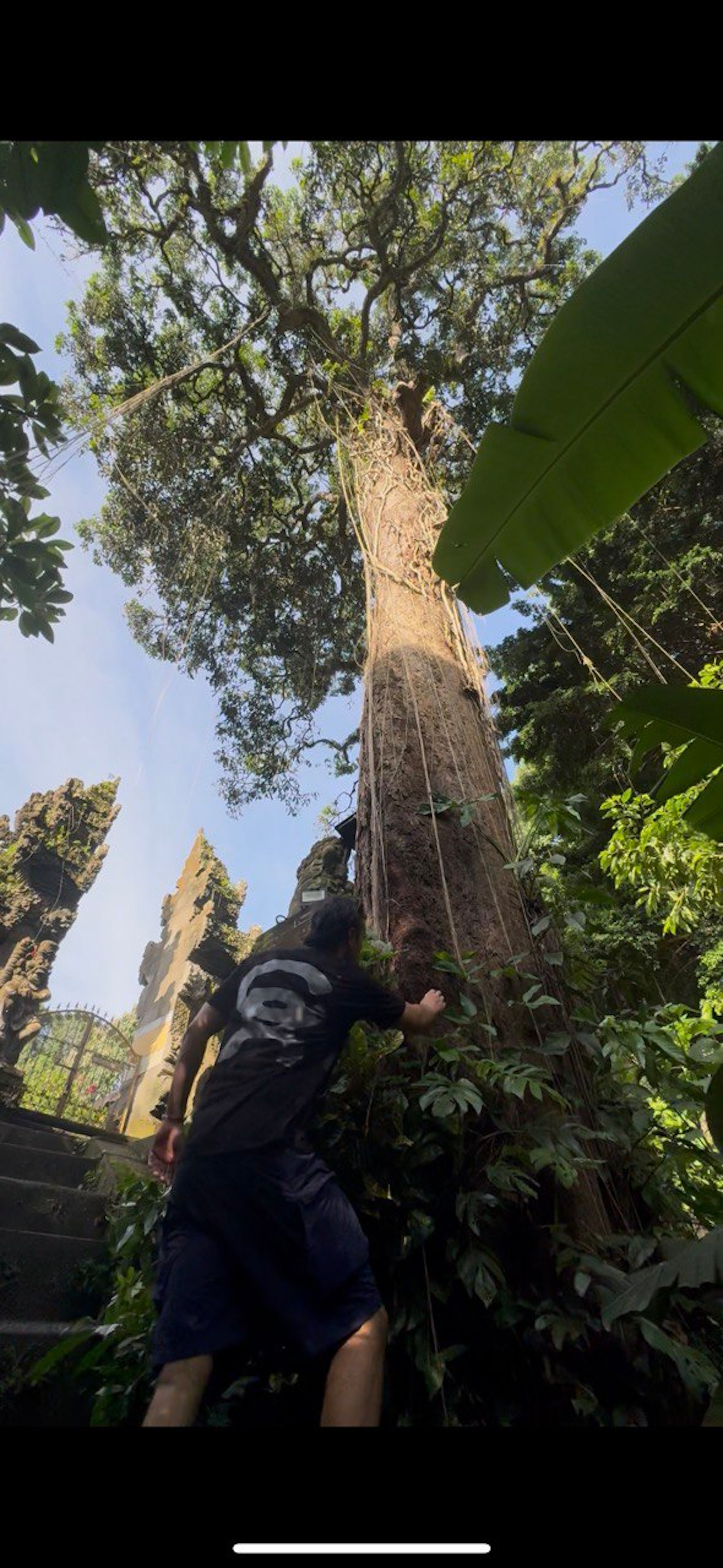 Sounds Nais curates: Escu b2b Emel