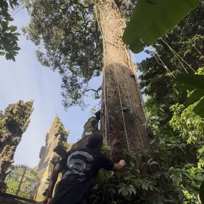 Sounds Nais curates: Escu b2b Emel