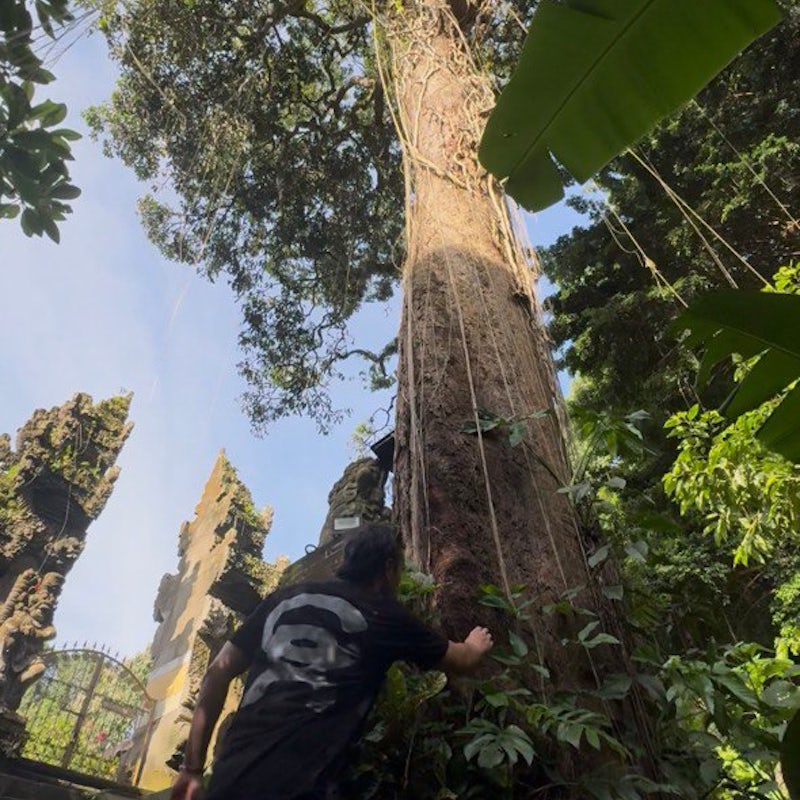 Sounds Nais curates: Escu b2b Emel