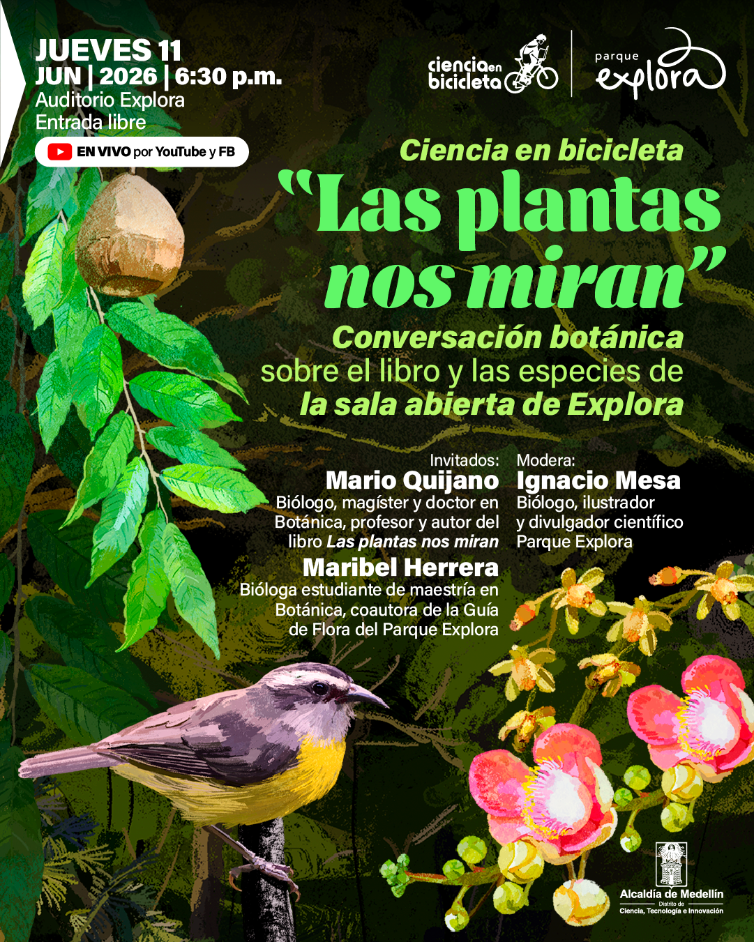 Ilustración de un entorno selvático con hojas verdes, flores y un ave posada en una rama en la parte inferior. En la zona superior izquierda dice: «Jueves once de junio de dos mil veintiséis a las seis y treinta de la tarde. Auditorio Explora. Entrada libre». Debajo dice: «En vivo por YouTube y Facebook». En la parte superior derecha dice: «Ciencia en bicicleta». En el centro se lee: «Las plantas nos miran». Más abajo: «Conversación botánica sobre el libro y las especies de la sala abierta de Explora». En la parte inferior derecha dice: «Invitados: Mario Quijano. Biólogo, magíster y doctor en botánica, profesor y autor del libro Las plantas nos miran. Maribel Herrera. Bióloga estudiante de maestría en botánica, coautora de la guía de flora del Parque Explora. Modera: Ignacio Mesa. Biólogo, ilustrador y divulgador científico Parque Explora».