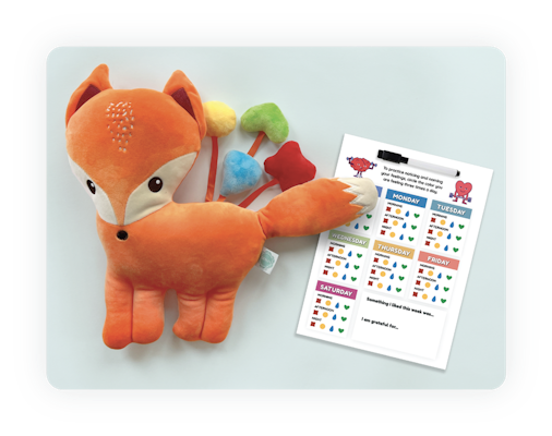 Orange Fox Plush & Feelings Journal