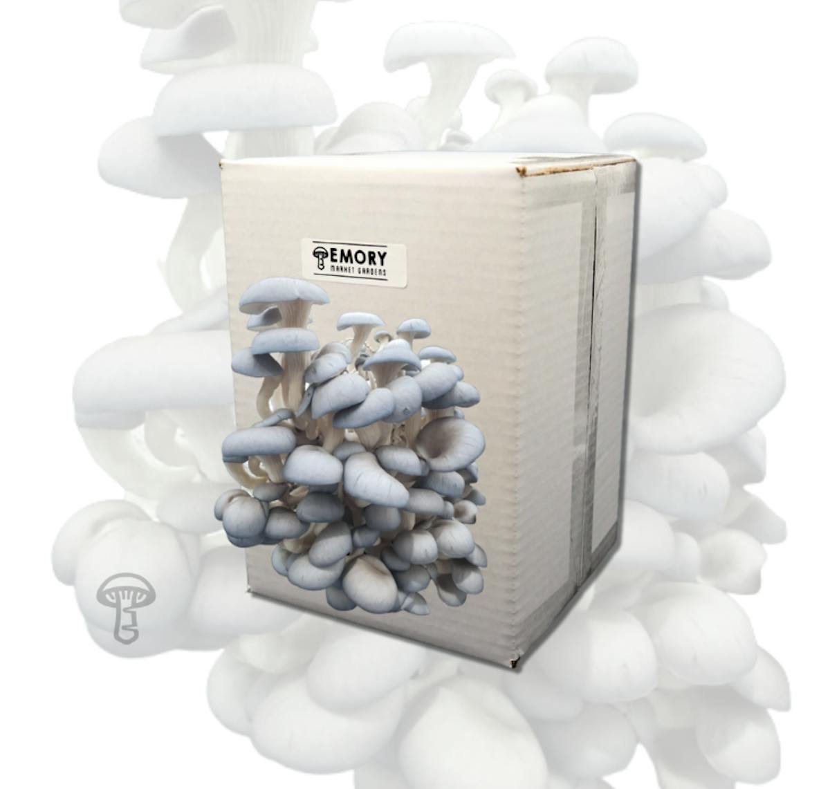 Emory Market Gardens Blue Oyster mushroom grow kit