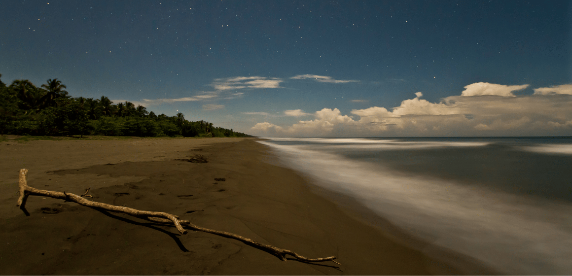 Tortuguero-Beach-at-night-in-Costa-Rica---The-Holiday-People.png