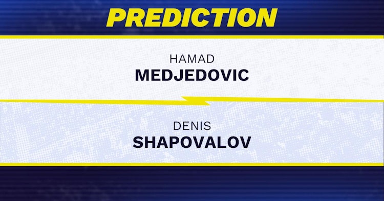 Hamad Medjedovic vs Denis Shapovalov Tennis Prediction.