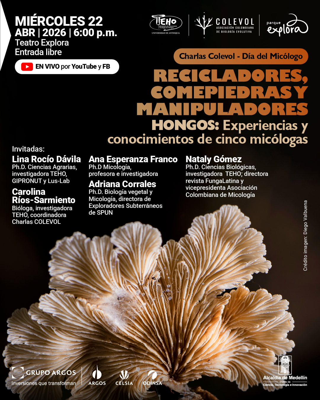 Fotografía. Sobre un fondo negro, en la parte superior izquierda dice: «Miércoles 22 abril 2026 | 6:00 p. m. Teatro Explora. Entrada libre». Debajo aparece una franja que dice: «En vivo por YouTube y FB». En la parte superior derecha, dentro de una franja, dice: «Charlas Colevol - Día del Micólogo». Debajo aparece el título: «Recicladores, comepiedras y manipuladoras». Más abajo dice: «Hongos: Experiencias y conocimientos de cinco micólogas». En la parte izquierda e inferior se lee: «Invitadas: Lina Rocío Dávila. Doctorado en Ciencias Agrarias, investigadora TEHO, GIPRONUT y Lus-Lab. Carolina Ríos-Sarmiento. Bióloga, investigadora TEHO, coordinadora Charlas COLEVOL. Ana Esperanza Franco. Doctorado en Micología, profesora e investigadora. Adriana Corrales. Doctorado en Biología vegetal y Micología, directora de Exploradores Subterráneos de SPUN. Nataly Gómez. Doctorado en Ciencias Biológicas, investigadora TEHO, directora revista FungaLatina y vicepresidenta Asociación Colombiana de Micología». En la mitad inferior aparece un hongo de láminas abiertas.