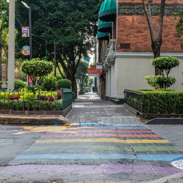 Zona Rosa: A Famous Boho & LGBTQ Neighborhood's main gallery image