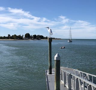 Treasures at Mapua Wharf's gallery image