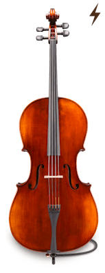 Electro Acoustic VC305-EAC