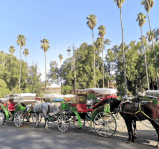 Live from Marrakech Morocco! Discover the famous Jemaa El-fna Square 's gallery image
