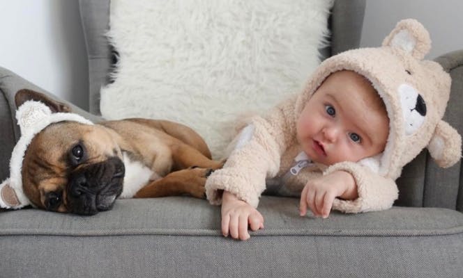 Cutest baby and frenchie duo laying on the couch resting. 