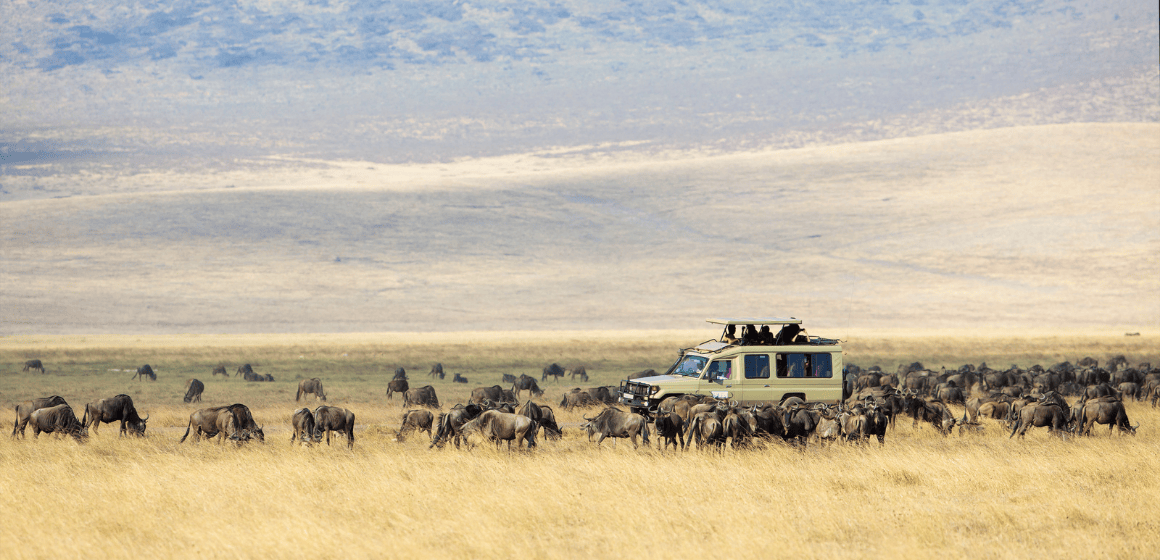 Tanzania-Family-Adventure-Tour-Image---The-Adventure-People.png