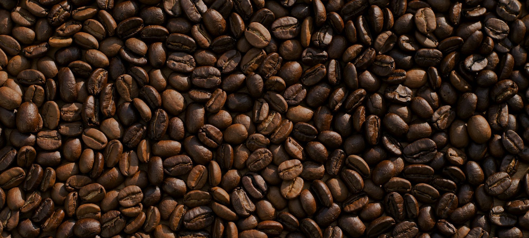 Small-Batch Roasted. Origin-Driven. Exceptionally Crafted.