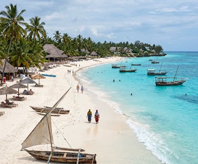 Why Tanzania?