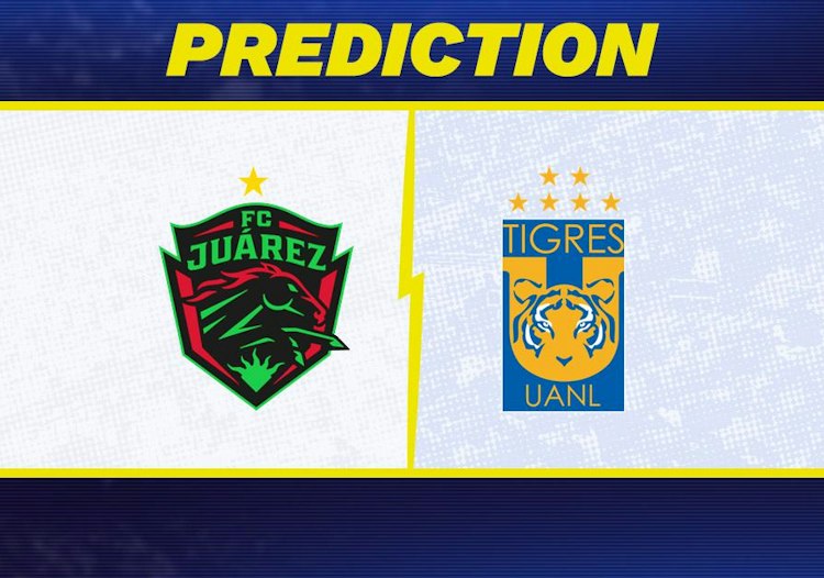 Juarez takes on Tigres UANL in Liga MX action.