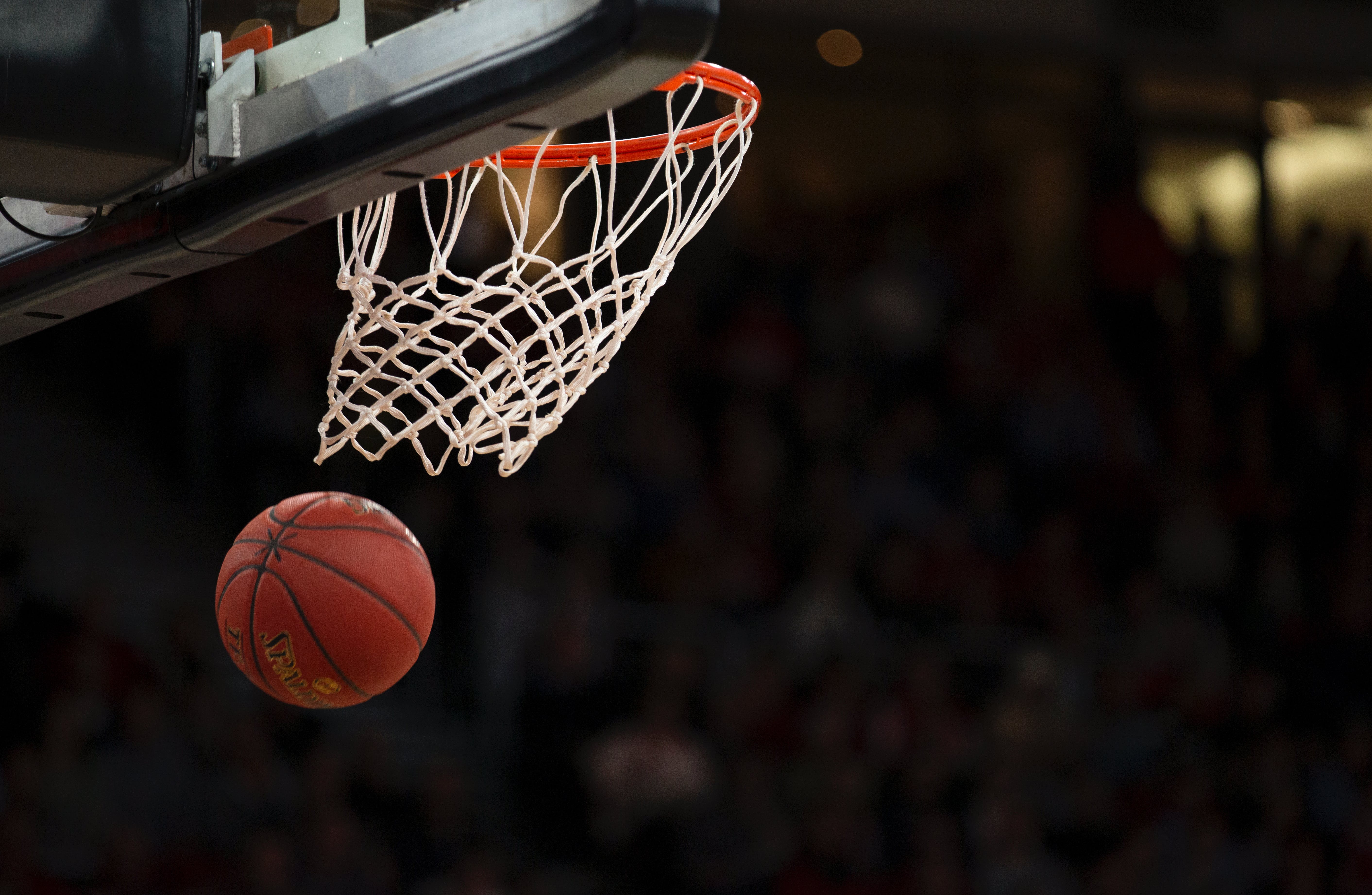 The Most Popular Sports for Sports Betting in New Zealand