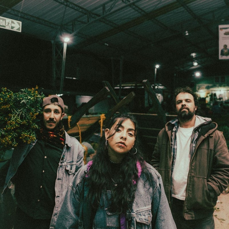 Sopa y Seco: In-Correcto w/ La Muchacha y El Propio Junte