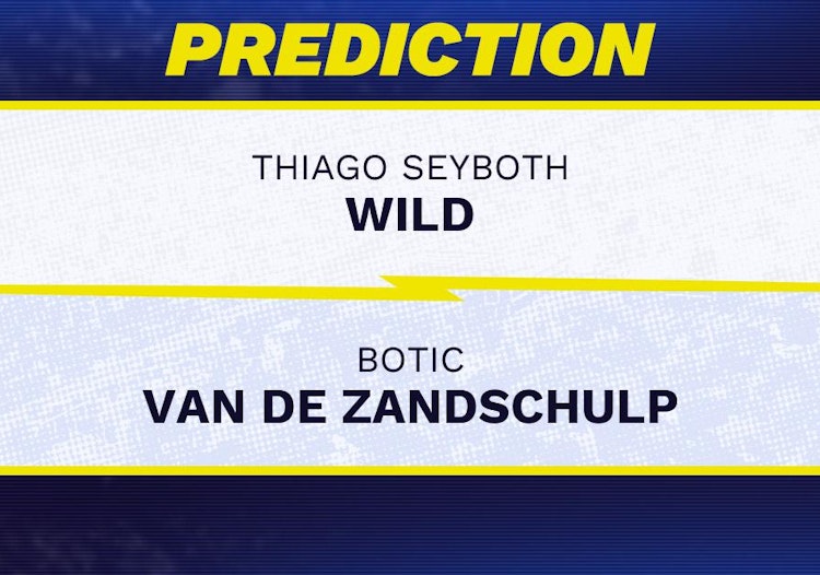 Thiago Seyboth Wild vs Botic Van de Zandschulp Tennis Prediction.