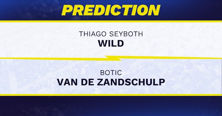 Thiago Seyboth Wild vs Botic Van de Zandschulp Tennis Prediction.