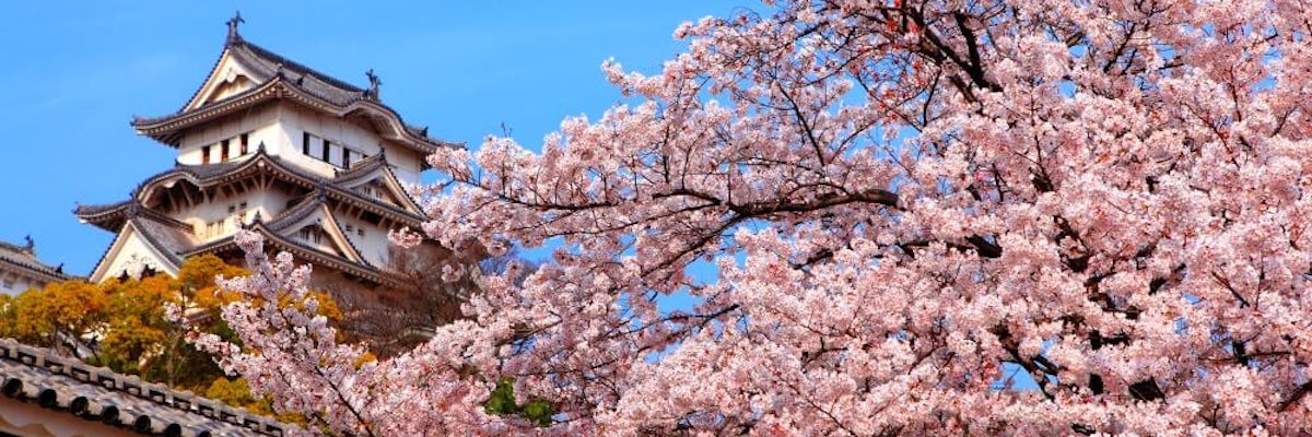 undefined's banner image
