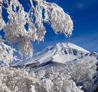 Discover Mt. Fuji Online Experience's gallery image