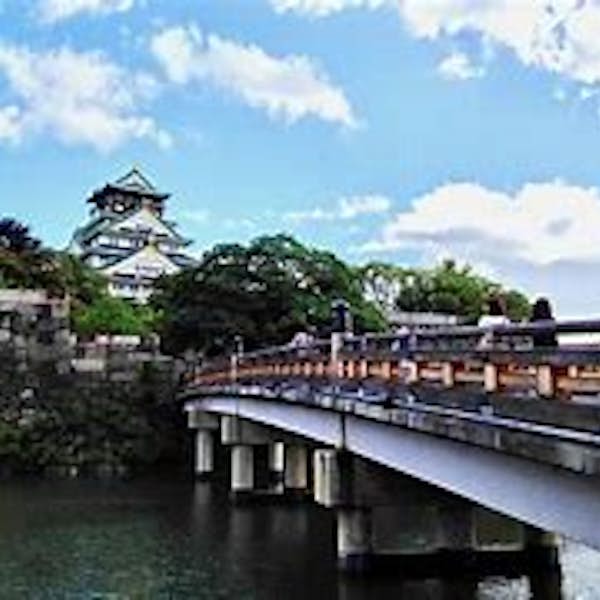 Osaka Castle Grounds Walk-a-bout and History Tour's main gallery image