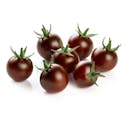 Black Cherry Tomato