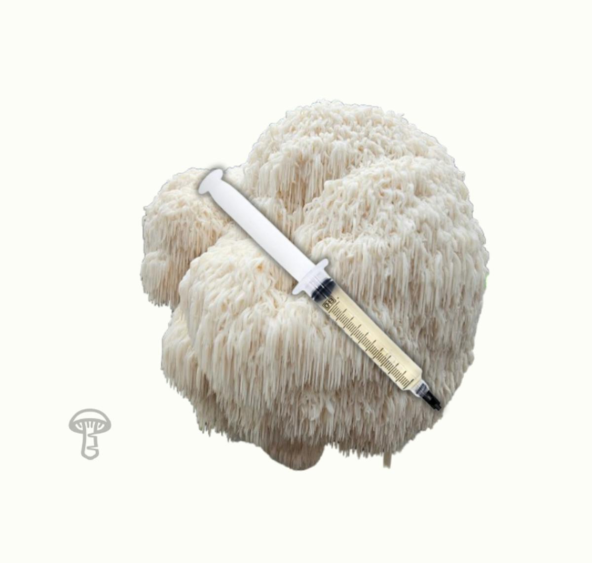 Lion's Mane Mushroom Liquid Culture