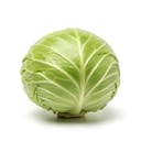 Green Cabbage
