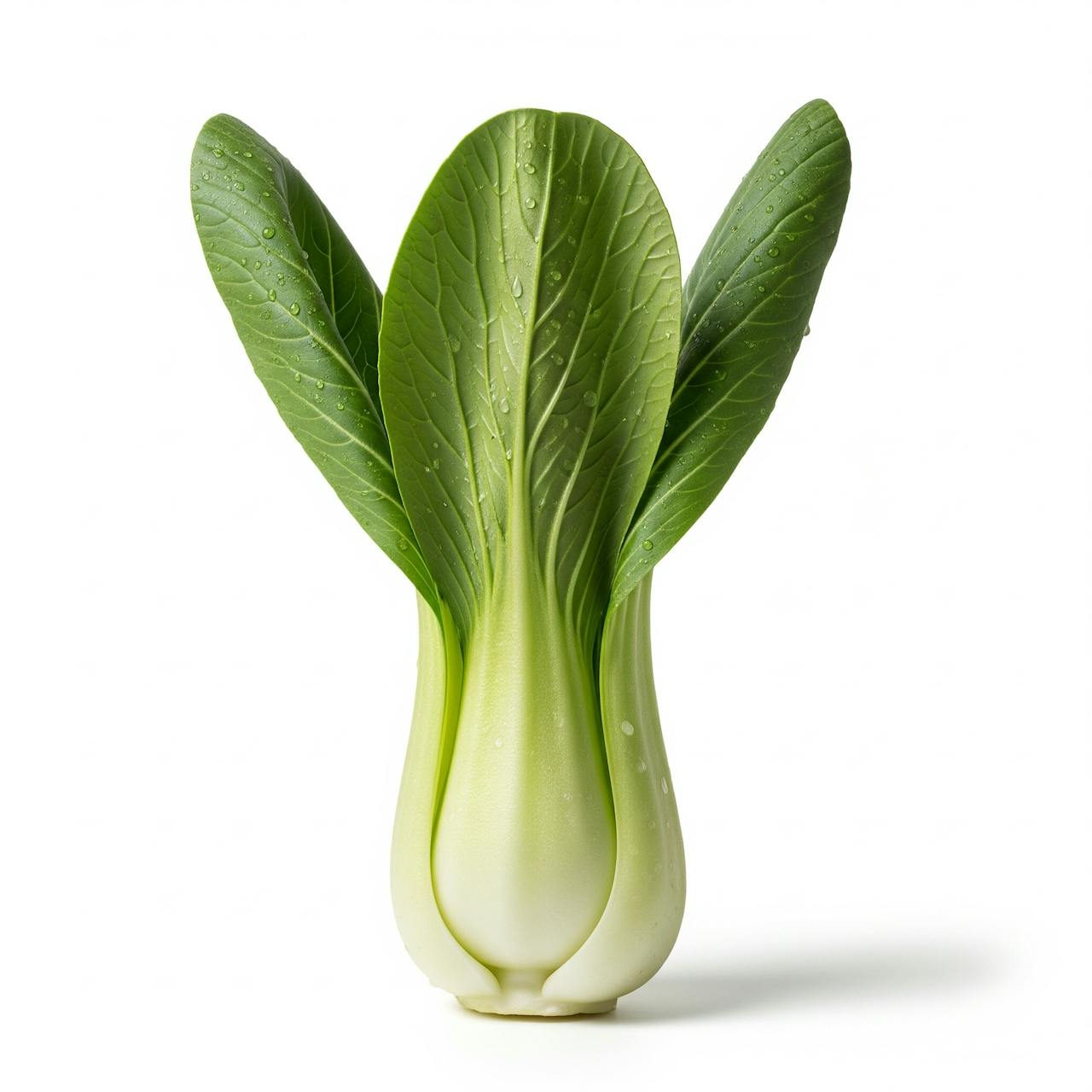 Bok Choy