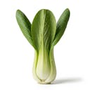 Bok Choy