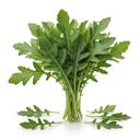 Arugula