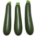 Zucchini Squash
