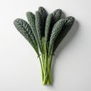 Dino Kale