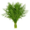 Dill