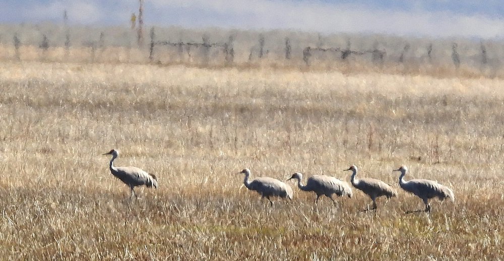 ks20240328_2.jpg