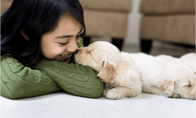 Young woman and newborn golden puppy bumping their noses together. 