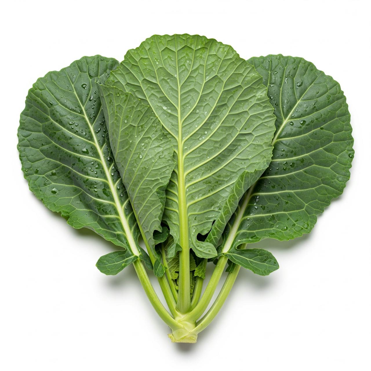 Collards