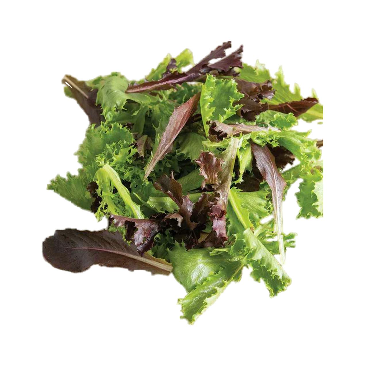 Lettuce Salad Mix