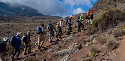 Training Guide for the Lemosho Trek on Kilimanjaro