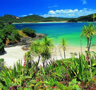 All About New Zealand's gallery image