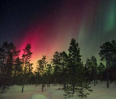 Northern Lights